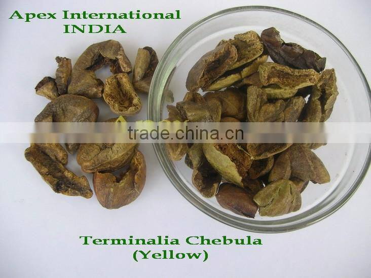 Terminalia chebula / Harrad / Black Himej