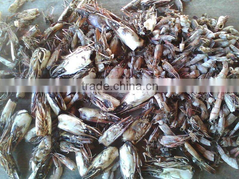 Sun Dried Shrimp Shell /Crab Shell Shrimp Shell Dried Shrimp
