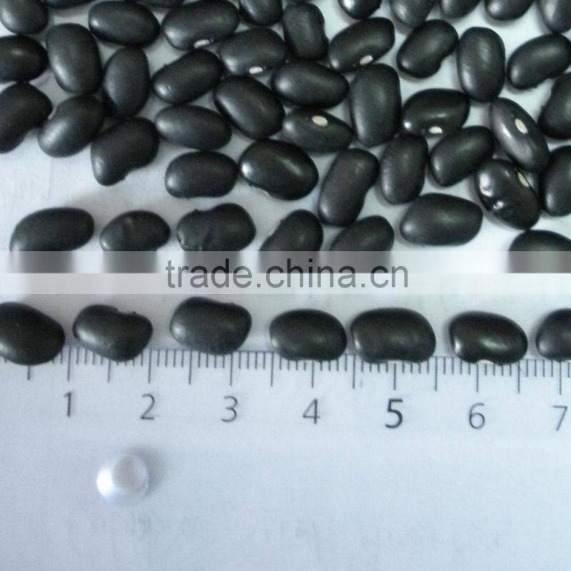 Chinese Small Black Kidney Bean New Crop 2015 ,Cheap ,Good Qaulity