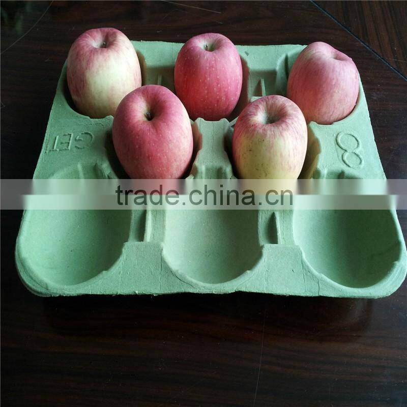 Automatic egg tray pulp molding machine(Skype:shuliy218)