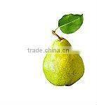 2011 fresh feng shui pear