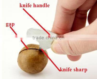 macadamia nut cracker machine/macadamia nut cracking machine