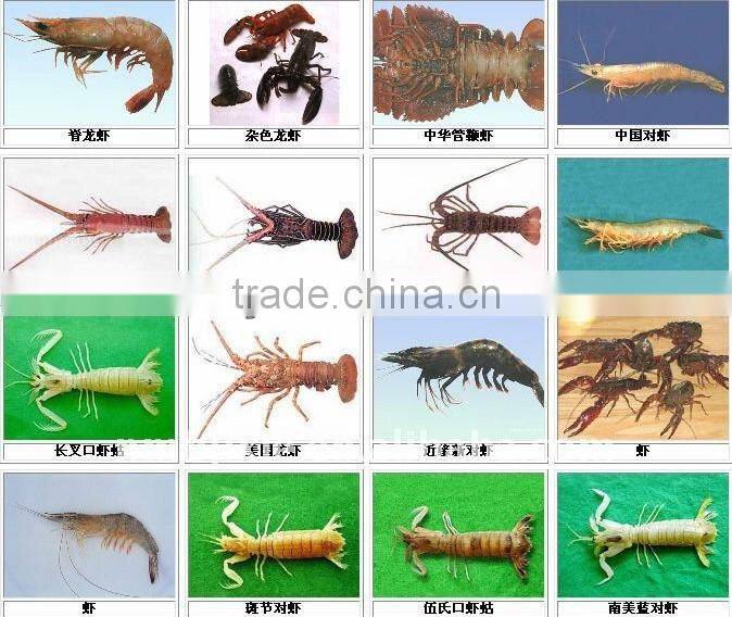 steam indirect heating fish meal machine for fish processing 008613838527397