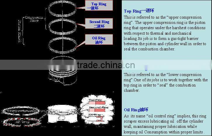 6BD1/4BD1Npr piston rings