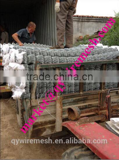 Hot sale PVC coated and galvanized chain link fence/stainless steel chain link fence/temporary chain link fence