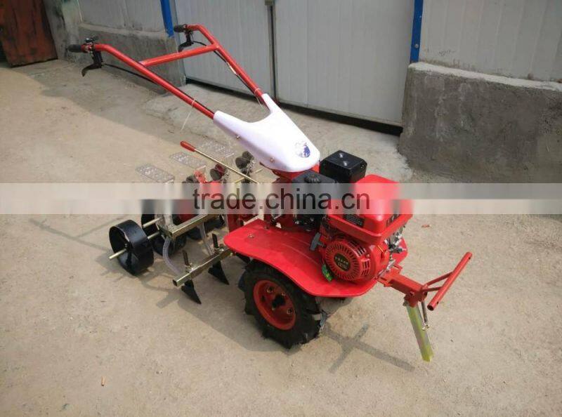 Cheap precision vegetable seed planter