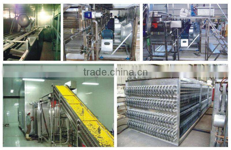 Newest design high quality tunnel quick freezing freezers food machinery