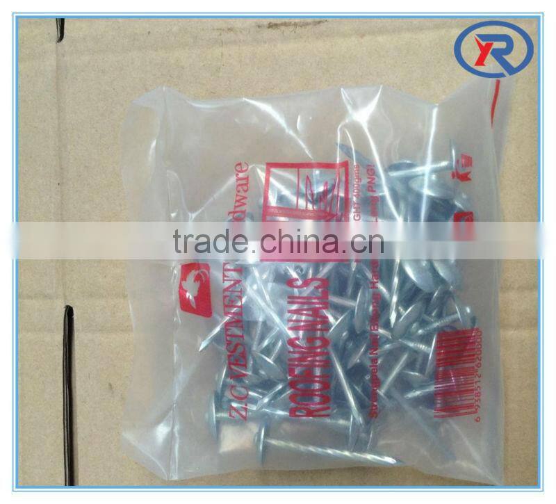 Hot sale BWG9X2.5" twisted shank umbrella roofing nails,galvanized roofing nail made in china