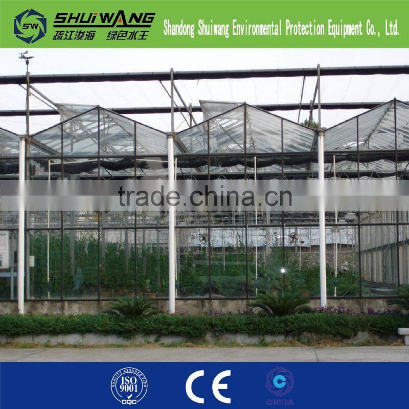commercial glass greenhouse supply china shuiwang