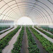 transparent Agricultural film for greenhouse