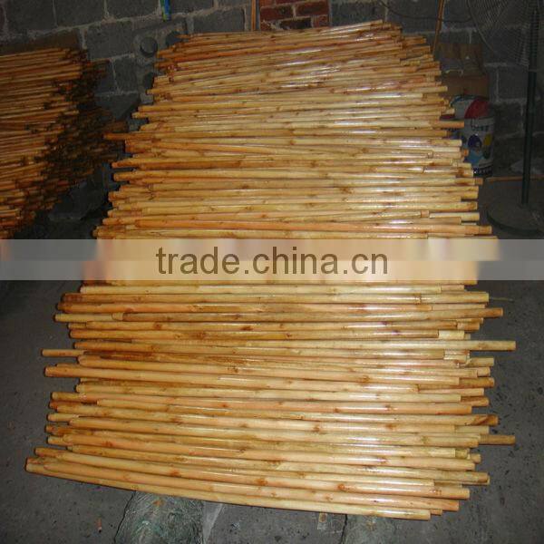 Varnished wooden mop stick