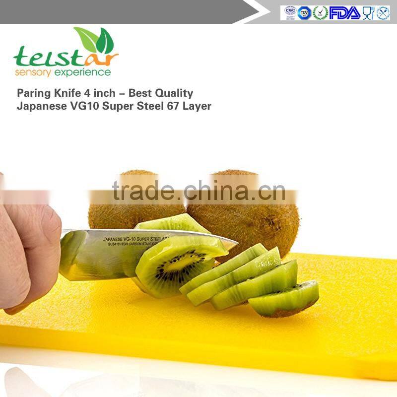 Paring Knife 4 inch - Best Quality Japanese VG10 Super Steel 67 Layer High