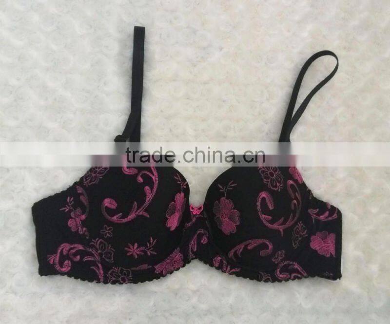 2015 Stylish charming embroidery beautiful bra sexy bra design www women sexi bra images com
