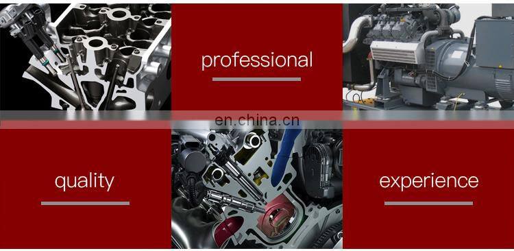 Perkins diesel engine parts Euro II fuel injector T63301004 135P005