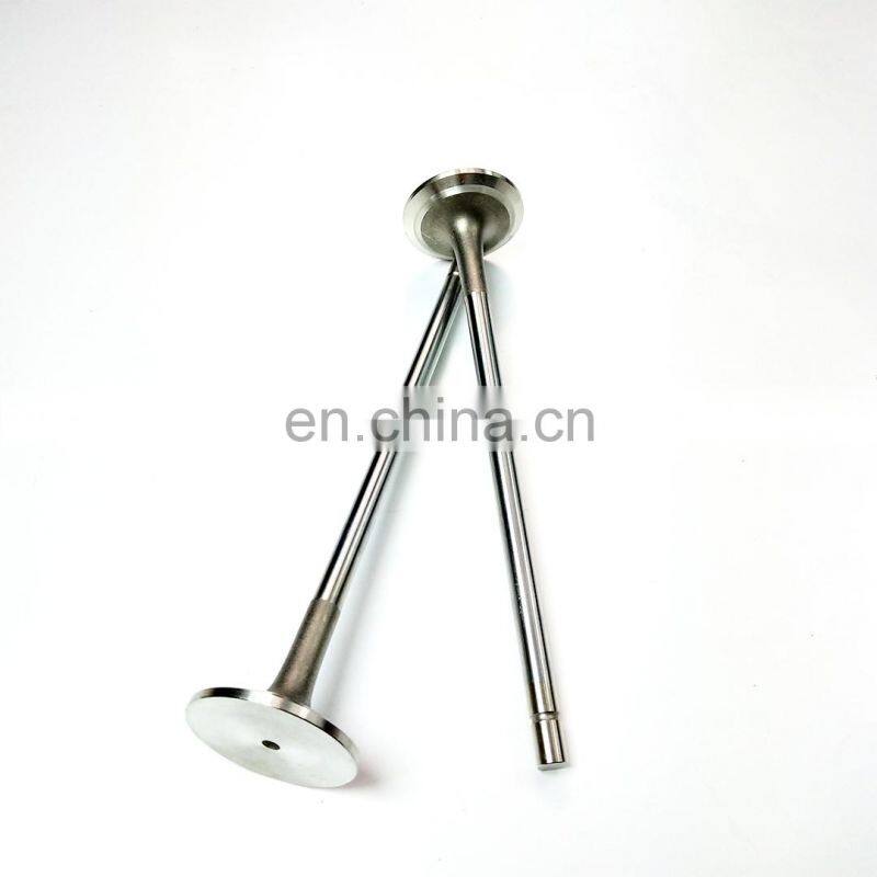 Diesel engine spare part metal D5010339502 DCI11 intake valve