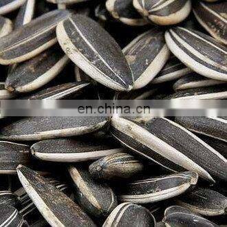 sunflower seed 361 china bigs sunflower seeds bulk