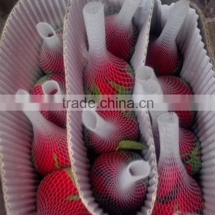 Color Carola table centerpieces single rose