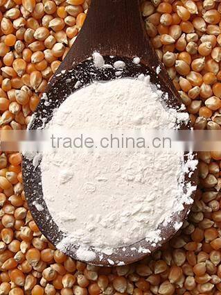 Modified starches and flours processing/production line