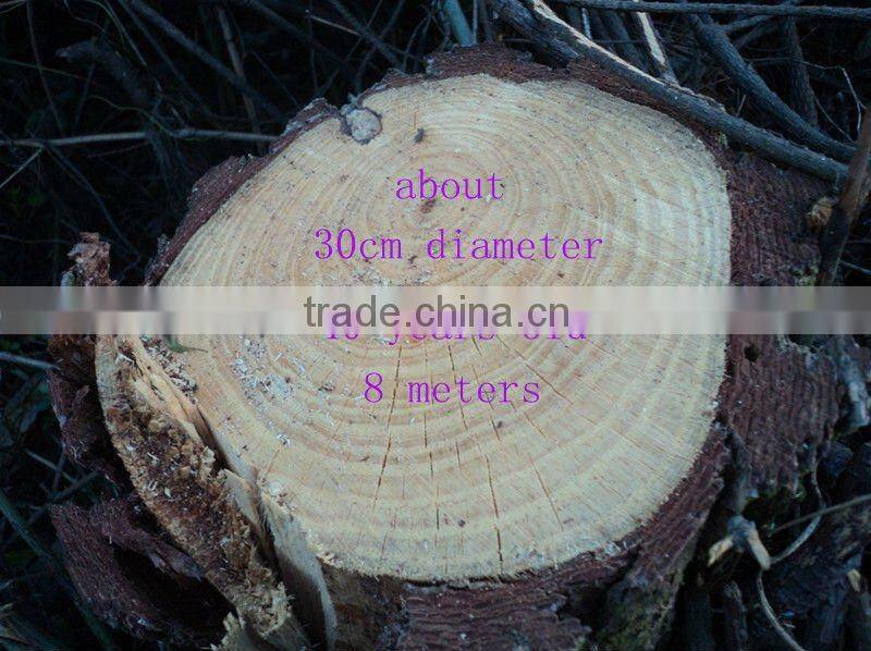 solid bamboo flooring with good quality and price