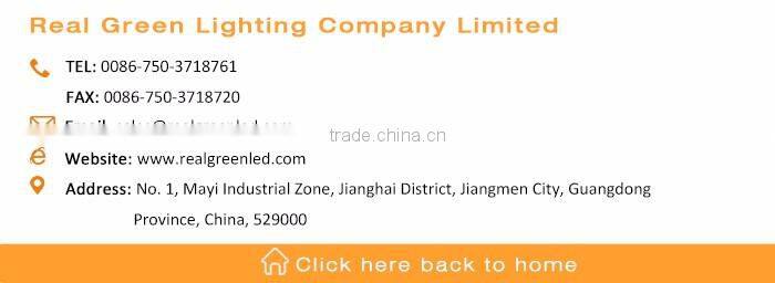 Hot sales 220V Crystal Blue LED Rope Light