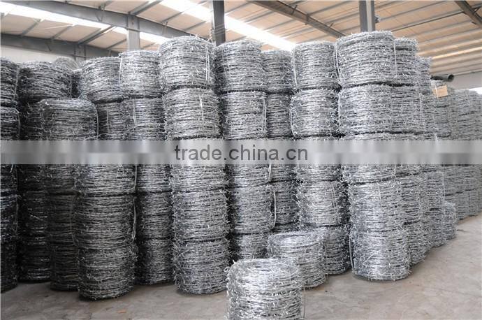 High quality 12#*12# galvanized barbed wire in China