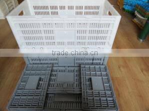 Big capacity egg carton box / plastic egg tray