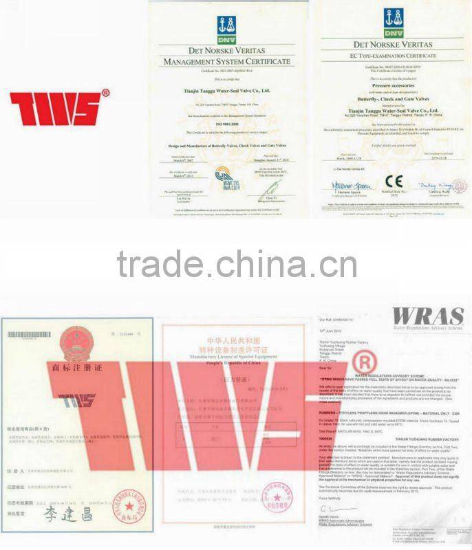 DN50~DN600 Series MH water swing check valve