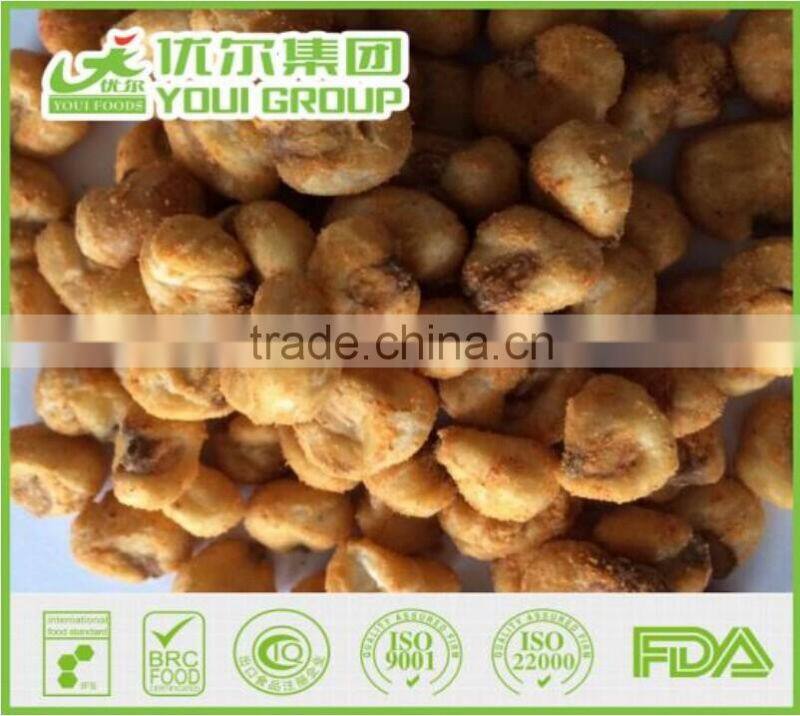 Youi New Products Pizza Flavor Fried Crunchy Corn, Fried Popcorn