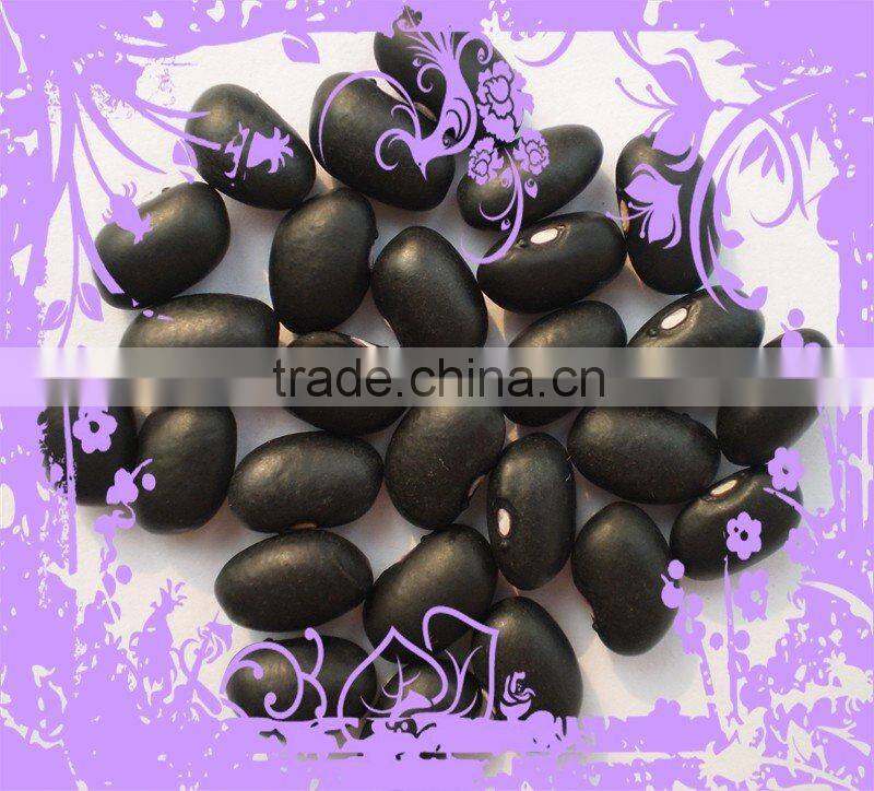 Chinese Small Black Kidney Bean New Crop 2015 ,Cheap ,Good Qaulity