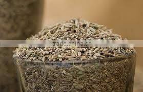 black cumin seed oil
