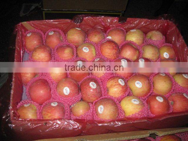 sweet and crisp Fuji Apple