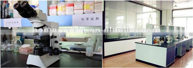 Humic Amino Acid NPK Complete Fertilizer 15-8-12