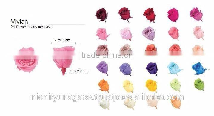 Pretty and Cute real touch hydrangea preserved flowers with various species