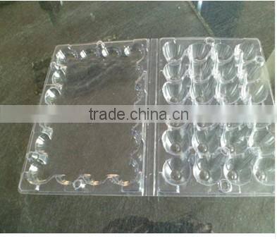 quail egg boxes