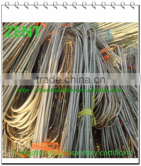 ZENT-86 U bamboo trellis