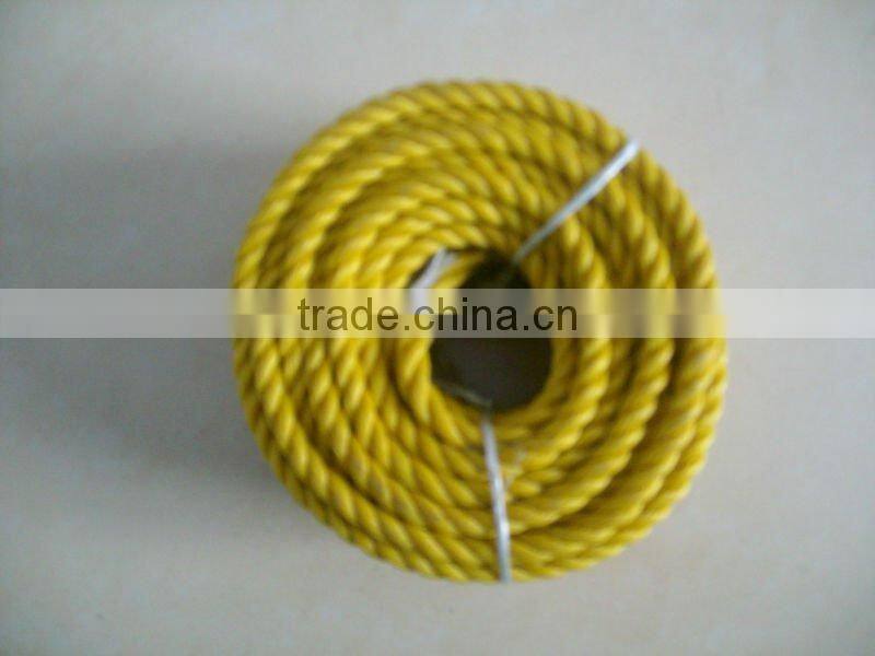 Recycle Yellow PE Rope