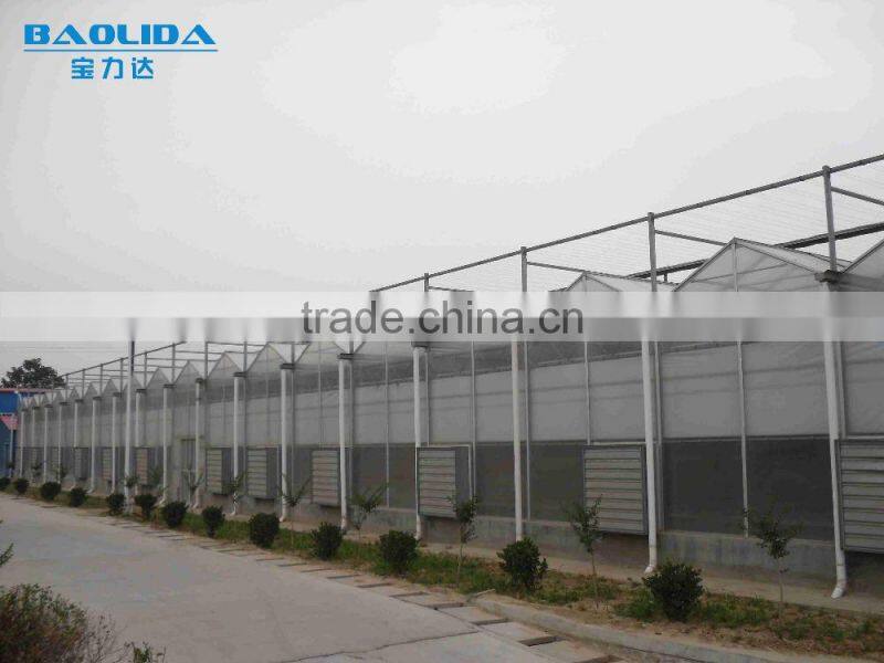 Gutter Connected film Greenhouse zigzag greenhouse vegetable greenhouse