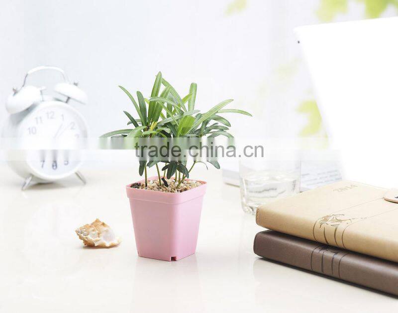 Plastic Colorful Small Square Flower Pots Without Pallet -3 inch