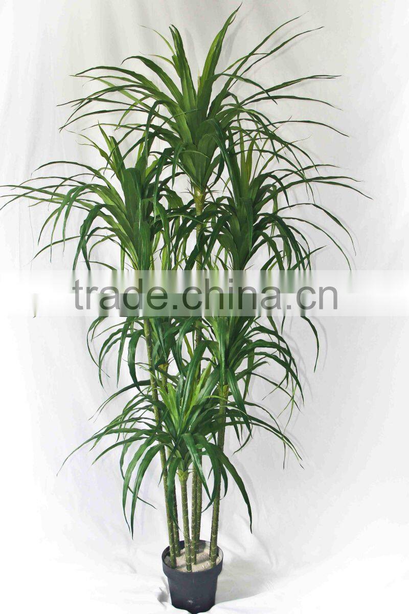 Office decorative green plants