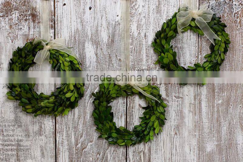 8'' preserved boxwood wreath wholesale