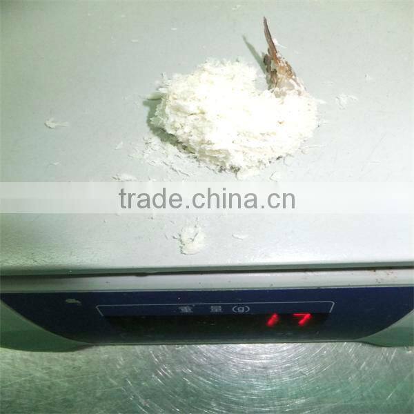 best season iqf frozen fresh prawns