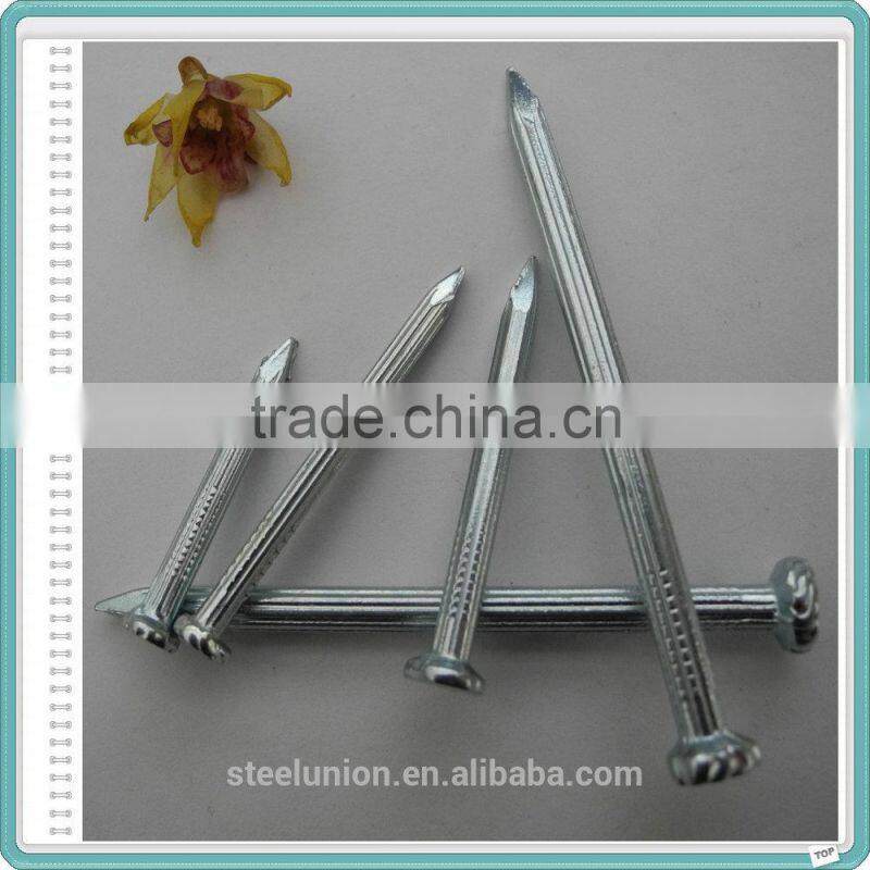 E.G. Galvanized Steel Concrete Nails with Low Price