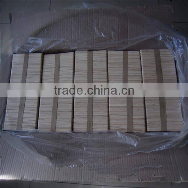 Eco friedly disposable brich wood popsicle stick ice cream