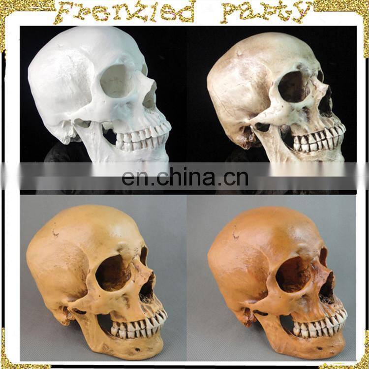 New arrival simulation halloween decorative skull FGHS-0005