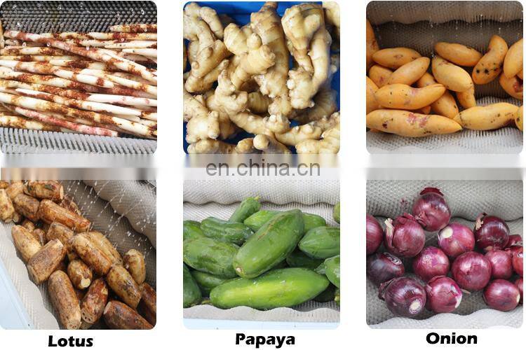 hot sale root vegetable radish potato ginger washer carrot beet onion yam peeling machine with low price