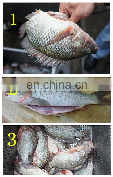 Big capacity Electric Fish Cutter processing line