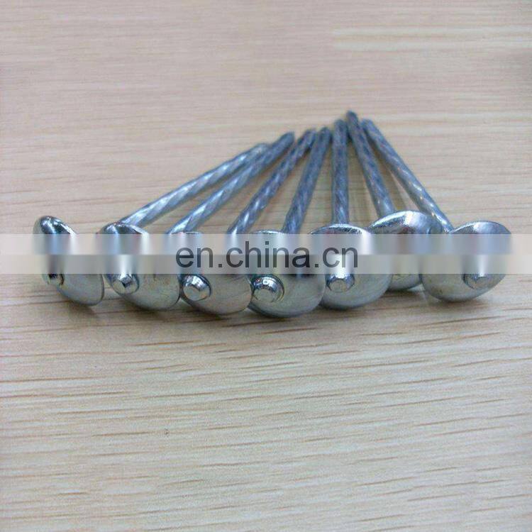 Good quality galvanized china corrugated roofing nails