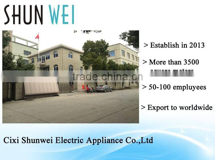 1000W Teflon soleplate iron non-stick coating electric dry iron