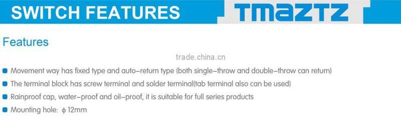 2 pins 15A 250V ON OFF screw terminal mini Toggle switch miniature toggle switch 1021 T511B