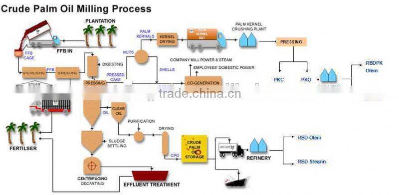 Most effective palm oil refining machine